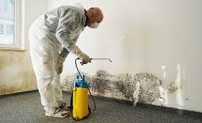 Trusted Crooks, SD Mold Remediation Experts